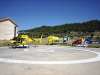 forest fire campaigns